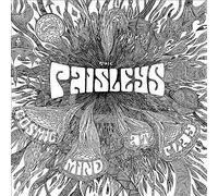 Cosmic Mind at Play by The Paisley (Record, 2015)