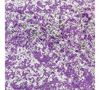 Cosmic Shimmer Aurora Flakes-Frosted Violet, 50 ml