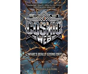 Cosmic Web: "What's Really Going On?"