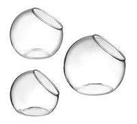 COSMOBETTY 3pcs Glass Planter Set for Ferns and Bromeliads, Slant Shape, Easy to Clean without Burr, Modern and Elegant Style Terrariums for Birthdays and Weddings Tabletop Decoration