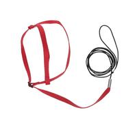 COSMOBETTY Adjustable Bird Harness and Leash for Safe Outdoor Flying Training with Elastic Rope and Secure Buckle Suitable for Parrots Cockatiels and Small Birds