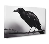 Cosmopolitan Crow Bird Canvas Wall Art Print 30x20 Inch