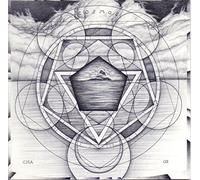 Cosmos And Chaos