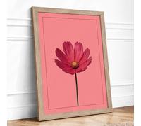 Cosmos Bloom Botanical Framed Wall Art Print A2 (59.4×42cm) Oak, Wall Decor for Living Room, Bedroom, Office & Home, Ready to Hang, Art Gift