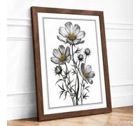 Cosmos Study Botanical Framed Wall Art Print A3 (42×29.7cm) Walnut, Wall