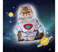 Cosplay Outfit for Halloween Pet Transformation Into An Astronaut Stands For A Halloween Funny Pet Clother Standing Clothes Cat Astronauts Costume Clother (Silver, XL)