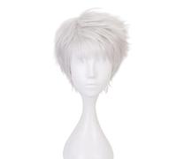 Cosplay Wig Anime Costume with Silver White Short and Straight Wigs for Men or Boy Halloween Family Party