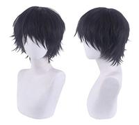 Cosplay Wig,Jujutsu Kaisen Toji Fushiguro Cosplay Wig,Short Black Wig,with Free Wig Cap,Halloween Costume Cosplay,for Christmas Carnival party