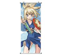CosplayStudio Large Dr. Stone Scroll Picture Cocoemono Fabric Poster 100 x 40 cm with Kohaku Motif