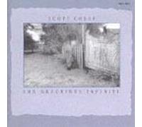 Cossu, Scott - She Describes Infinity