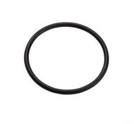 Cost Efficient O Ring for SPS Pumps Fits For SPS25 SPS50 SPS75 SPS100, Promotes Longevity and Reliability (1pc)