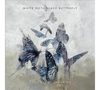 Cost of Dreaming by White Moth Black Butterfly (Record, 2021)