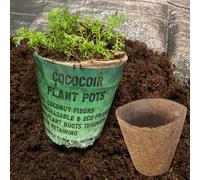Cost Wise Coir Fibre Grow Through Pots,10Cm Pack Of 10,pot Up And Plan