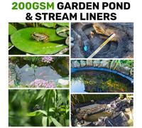 Cost wise Ideal Size To Create A Small Wildlife/fishpond 2.5M X 3M And Bring Your Garden To Life
