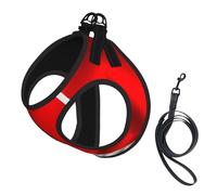 Costa Rica Flag 1 Print Dog Harness with Leash Set with Thickened Padded Vest for Extra-Small/Small Medium Dogs