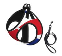 Costa Rica Flag Print Dog Harness Adjustable Walk Puppy Harnesses Leash Clips Pet Harnesses Training Pet Vest