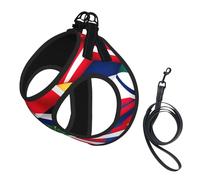 Costa Rica Flag Print Dog Harness with Leash Set with Thickened Padded Vest for Extra-Small/Small Medium Dogs