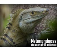 Costa Rica - Operation Tropical Forest