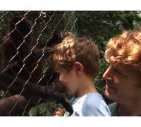 Costa Rica Volcanoes and Rainforest Adventure