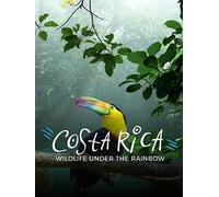 Costa Rica: Wildlife Under the Rainbow