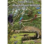 Costa Rica's Magnificent Wildlife
