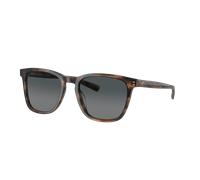 Costa Unisex Sunglass Sullivan - Frame color: Salt Marsh, Lens color: Gray Gradient