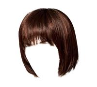Costume Carnival Women's Wigs for Women, Human Hair, Brazilian Women's Wig, Black Fibre, High Temperature African Synthetic Hair Wig, False Headwear, (BW1, One Size)