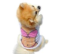 Costume with Bikini Print - Underpants - Boxer - Beach - Sea - Dog - L - Gift idea for Christmas and Birthday