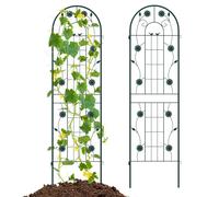 Costway 2 Pack 220cm x 50cm Metal Garden Trellis Plant Support Climbing Plants in Green | Size: 220 cm x 50 cm COSTWAY Green 220 cm x 50 cm