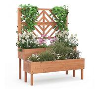 COSTWAY 2-Tier Raised Garden Bed with Trellis, Wooden Elevated Planter Box with Drainage Holes for Climbing Plants Vines, Fruit Vegetable Flower Pot Container for Patio Balcony (Orange, 109x62x135cm)