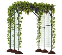 Costway 200x150x197cm Tall Grape Vine Support Large Garden Arch Trellis in Black | Size: 200 x 150 x 197 cm COSTWAY Black 200 x 150 x 197 cm