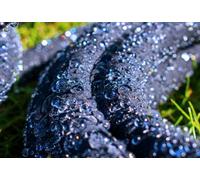 Costwise 30M Length Of Porous Dripping Irrigation Hose With 20 Hold Down Pegs,delivers Water Right To The Roots