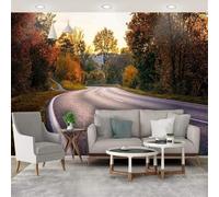 Cosy Beautiful Late Autumn Mangrove Road 3D Wallpaper Silky Texture Home Study Office Grey Dining Room Sofa Bedroom Living Room TV Backdrop-200cm×140cm