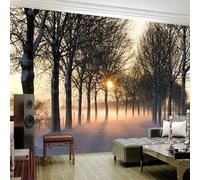 Cosy Dreamy Sunset Forest Path Snowy 3D Wallpaper Luxury Silk Study Dining Feature Sofa Grey Bedroom Living Room Tv Decorative Wall-430cm×300cm