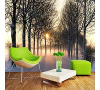 Cosy Dreamy Sunset Forest Pathway Snowscape 3D Wallpaper Easy Install Feature Office Living Room Sofa Bedroom TV Background Wall Decoration-430cm×300cm