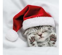 Cosy Kitten Sleeping in Santa Hat - Photographic Festive Animals Pack of 6 Charity Christmas Cards - Premium Board - Great British Card Company (Cosy Kitten)