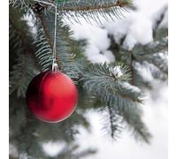 Cosy Owl Christmas Tree Fragrance Oil for Candle Making, Wax Melts, Diffusers, Soap Making and Bath Bombs (50ml)