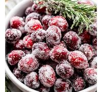 Cosy Owl Frosted Cranberries Fragrance Oil for Candle Making, Wax Melts, Diffusers, Soap Making and Bath Bombs (10ml)