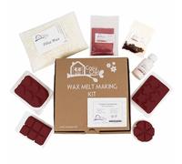 Cosy Owl Wax Melt Making Kit, Make Your Own Scented Wax Melts, Mica Powder, Dye, Pillar Wax, 4 Clamshells, Step-by-Step Guide Frosted Cranberries (Dark Red & Red)