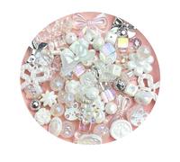 Cosyhav 50g Mix Beads for Bracelet Making,Acrylic Bracelet Beads,Necklace,Keychain,Phone Charm Making Kit
