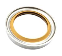 COSZWQDP 1Pcs Stainless Steel Skeleton Oil Seal Rotating Shaft(15x25x7)