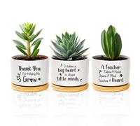 coTaSiEY Teacher Gifts, Thank You Teacher Ceramic Flower Plant Bonsai Pots Planters And Trays End of The Year Leaving Appreciation Thankyou Presents for Women Men Male Indoor And Outdoor