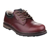 Cotswold Mens Stonesfield Lace Up Waterproof Hiking Shoes (Chestnut Brown) - Multicolour Leather - Size UK 10