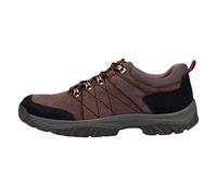 Cotswold Toddington Shoe Male Brown Size 10