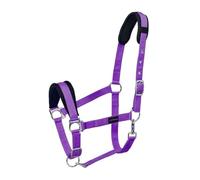 Cottage Craft Horse Headcollar - Padded Head Collar for Horses (Purple, EXTRA FULL)