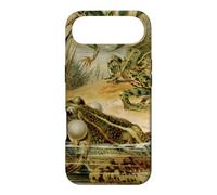 Cottagecore Vintage Aesthetic Green Frog Case for iPhone Air