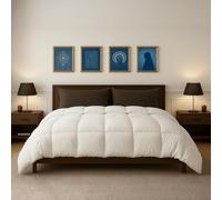 Cottingon 1 PC Twin 68" x 90" Comforter, Premium Brushed Microfiber 300 GSM, Box Stitched Down Alternate Duvet Insert with Corner Ties, All Season, Fluffy, Soft, White