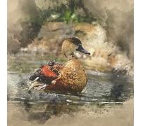 Cotton Art Linen Canvas Look Fabric Panel Upholstery (Per Panel) (Duckling)