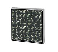 Cotton Dinosaurs Dino Skeletons Skulls Bones Square Badge Funny Button Pins Brooch