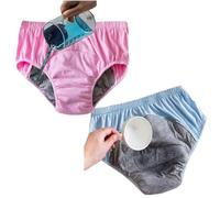 Cotton Older Women Incontinence Underwear Leakproof Panties Cloth Diaper Washable Seniors Middle-Aged Elderly Ladies Waterproof Briefs(Rose Blue,L)